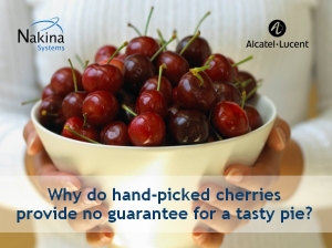 handpicked cherries
