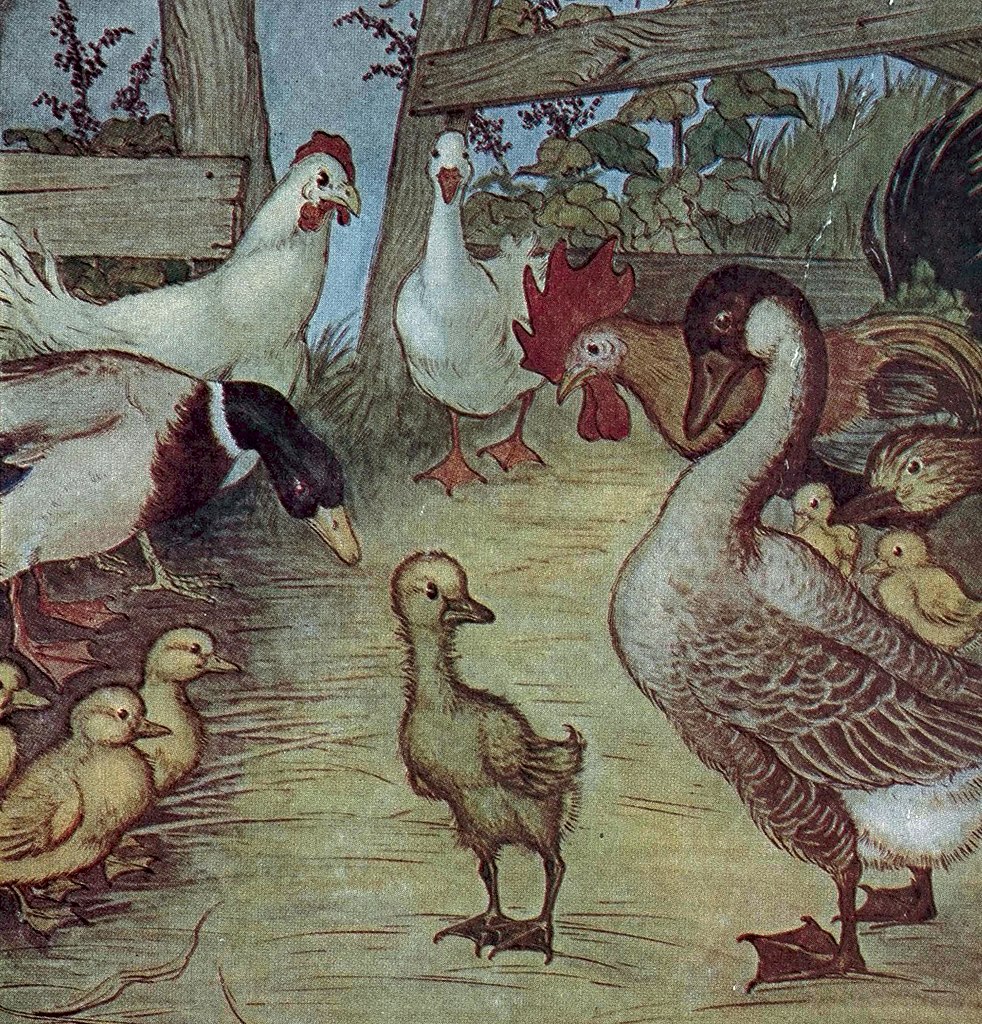 The ugly duckling  Business storytelling